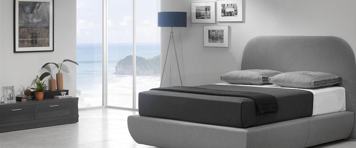 Ecus sleep-Felac