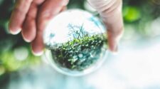 FELAC Impulsa Un Proyecto De Economía Circular